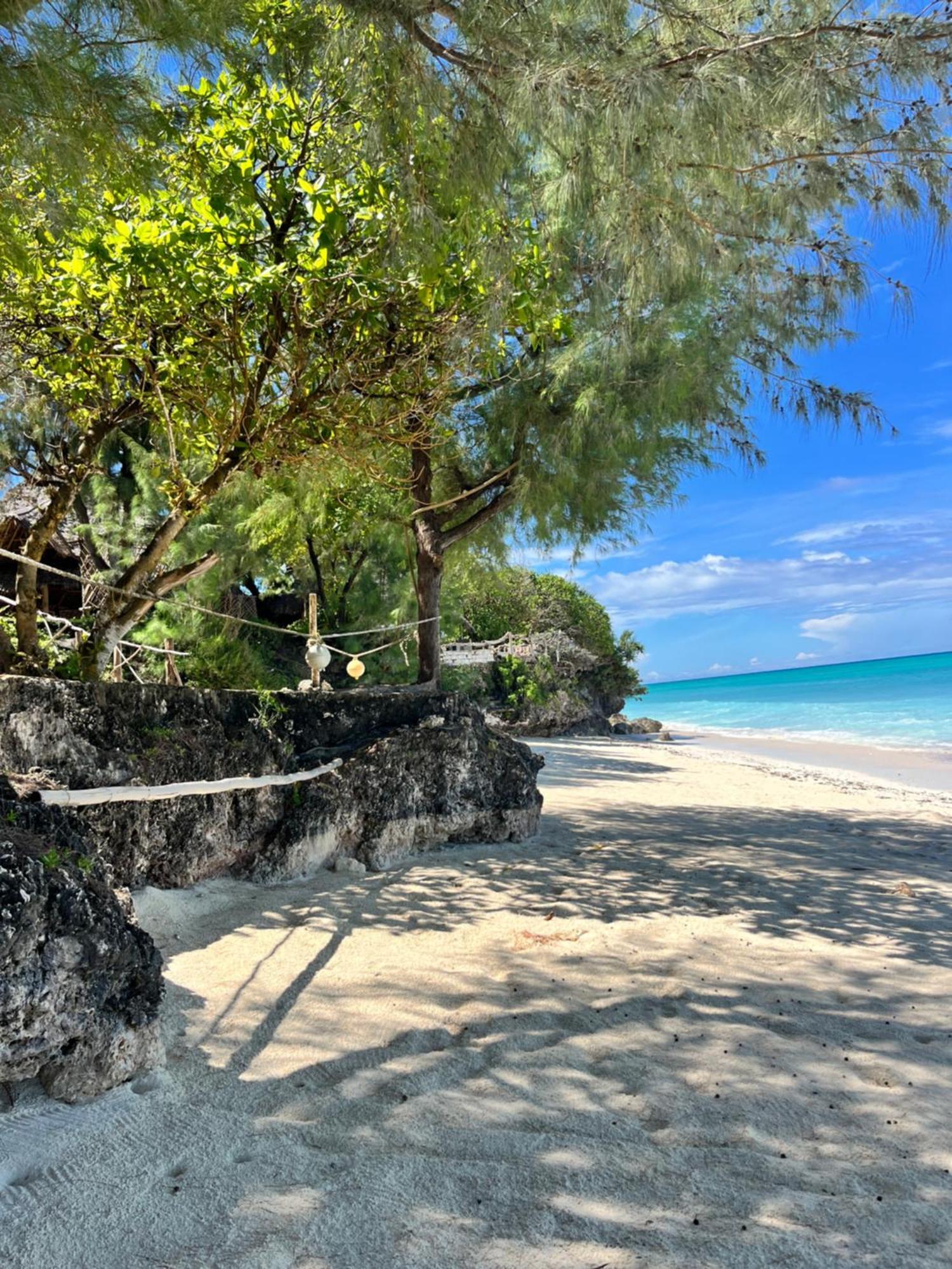 Sazani Beach Lodge And Tidal Lounge Nungwi Kültér fotó