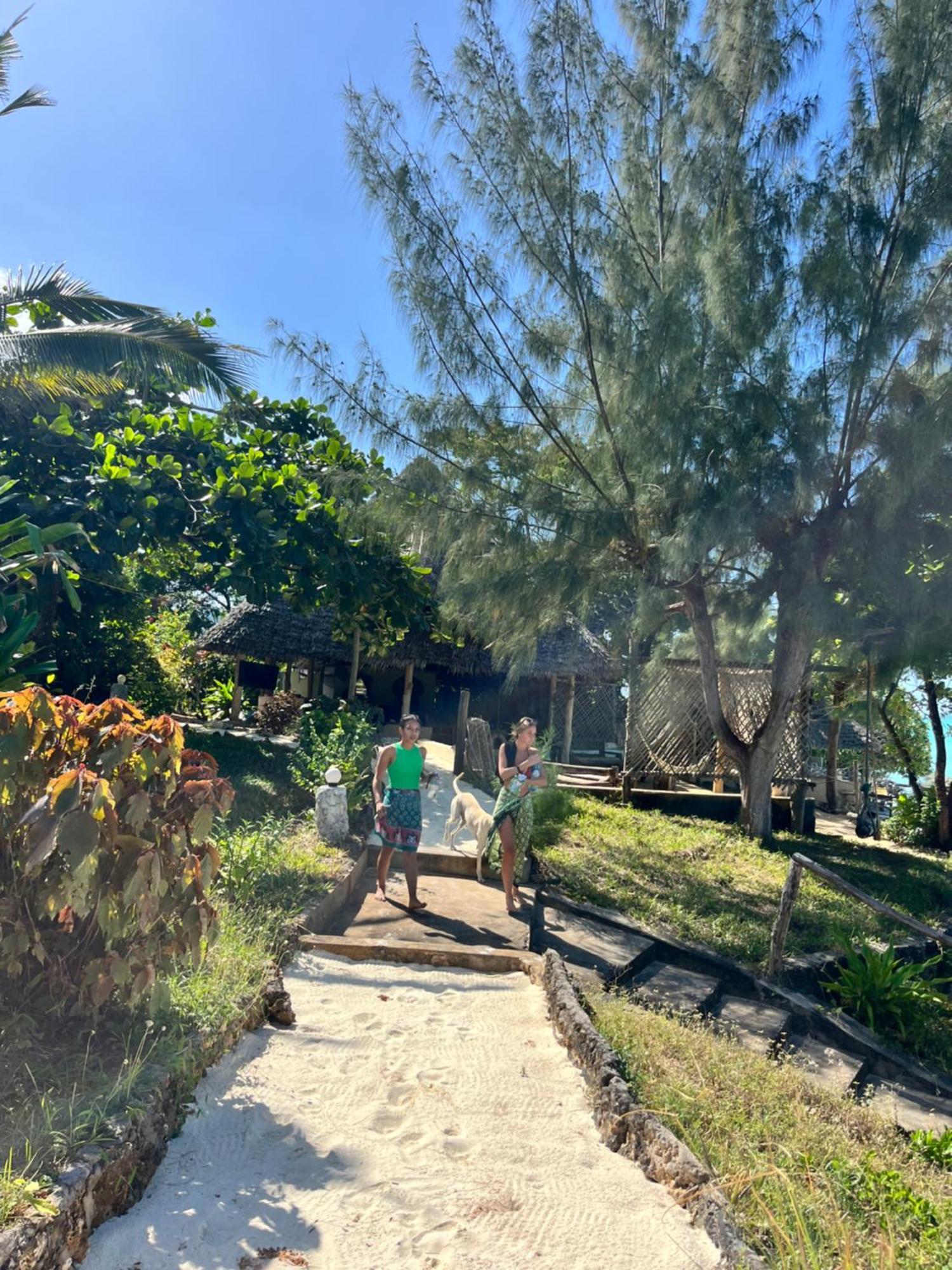 Sazani Beach Lodge And Tidal Lounge Nungwi Kültér fotó