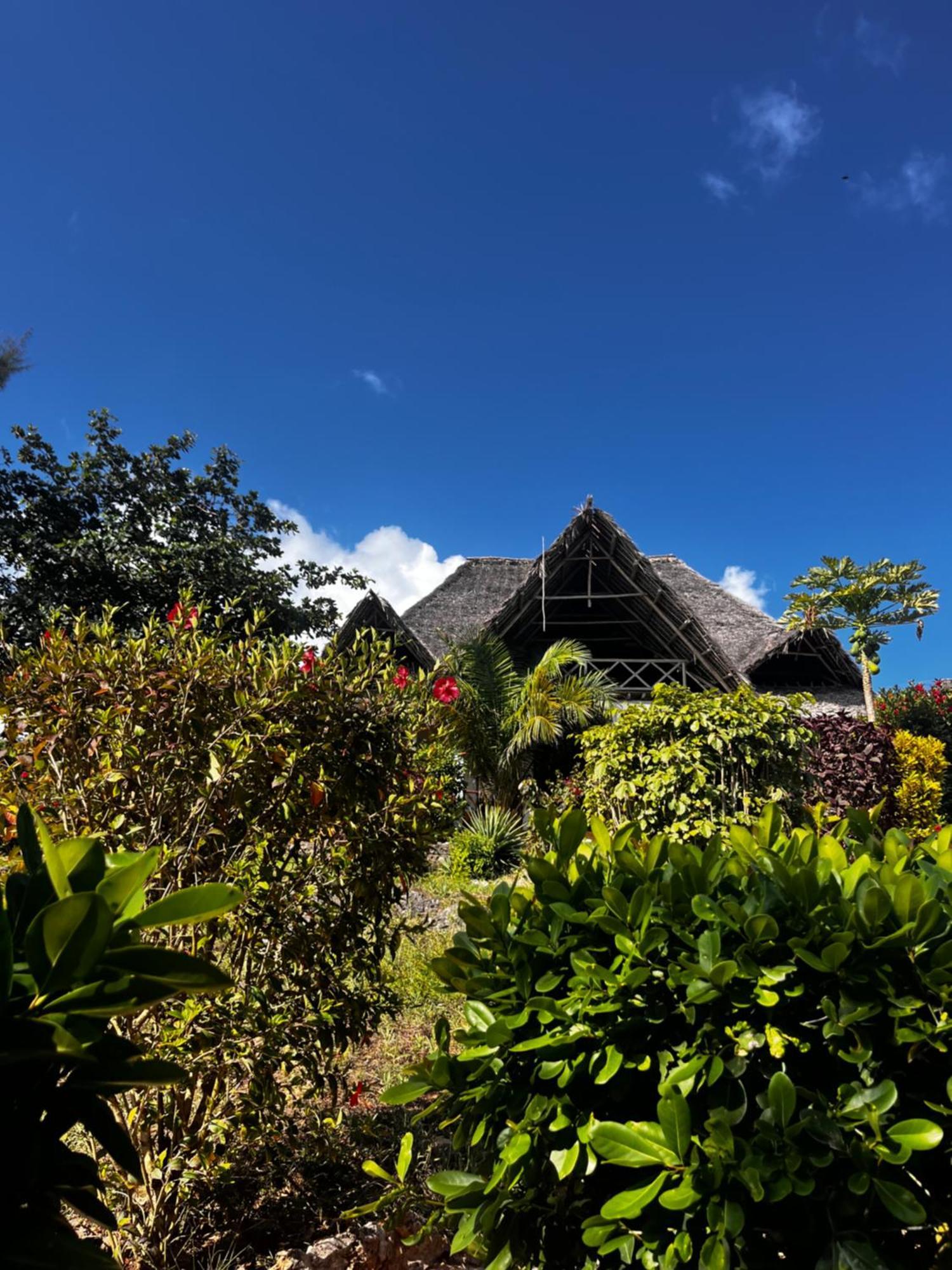 Sazani Beach Lodge And Tidal Lounge Nungwi Kültér fotó
