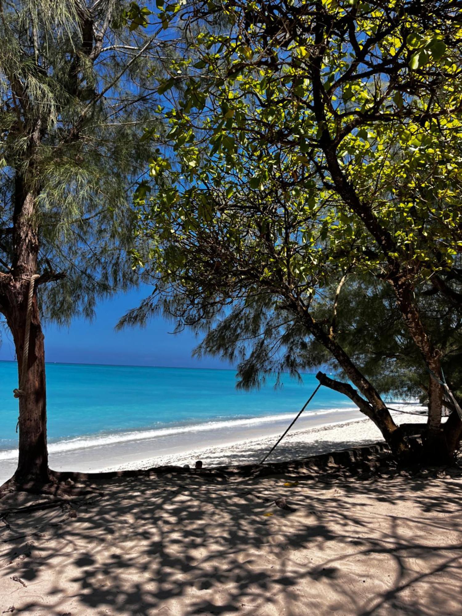 Sazani Beach Lodge And Tidal Lounge Nungwi Kültér fotó