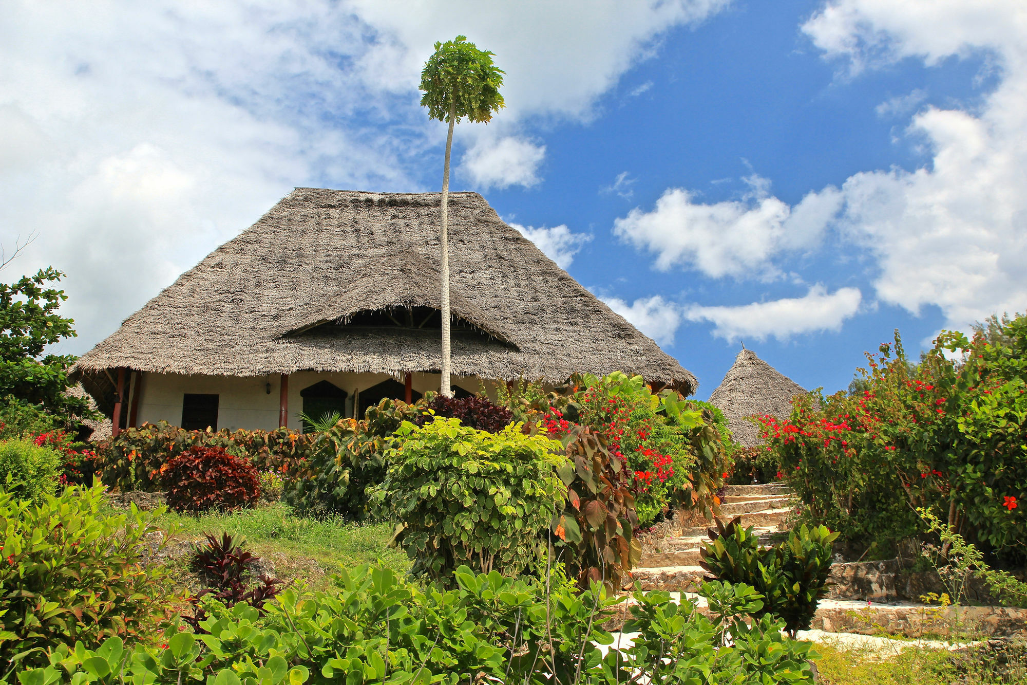 Sazani Beach Lodge And Tidal Lounge Nungwi Kültér fotó